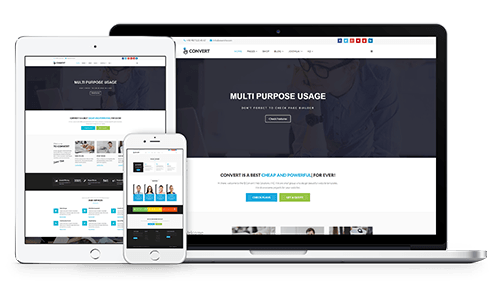 Responsive Layout